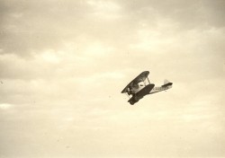 Wallpaper Fieseler